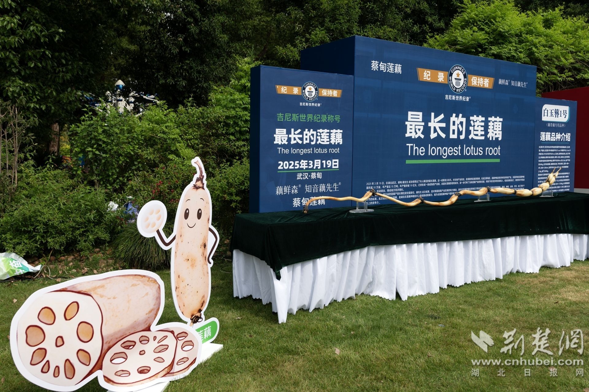 4fed74dd83dd43a7065fc1c2892d26d8_1920X1278_20250430235219